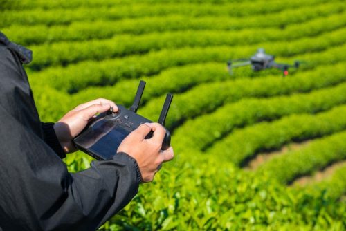 DJI Mavic 3 Multispectral drón